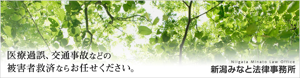 医療過誤、交通事故などの被害者救済ならお任せください。新潟みなと法律事務所
