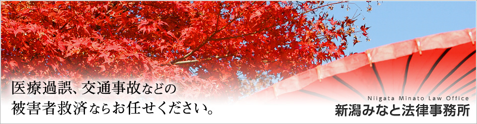 医療過誤、交通事故などの被害者救済ならお任せください。新潟みなと法律事務所